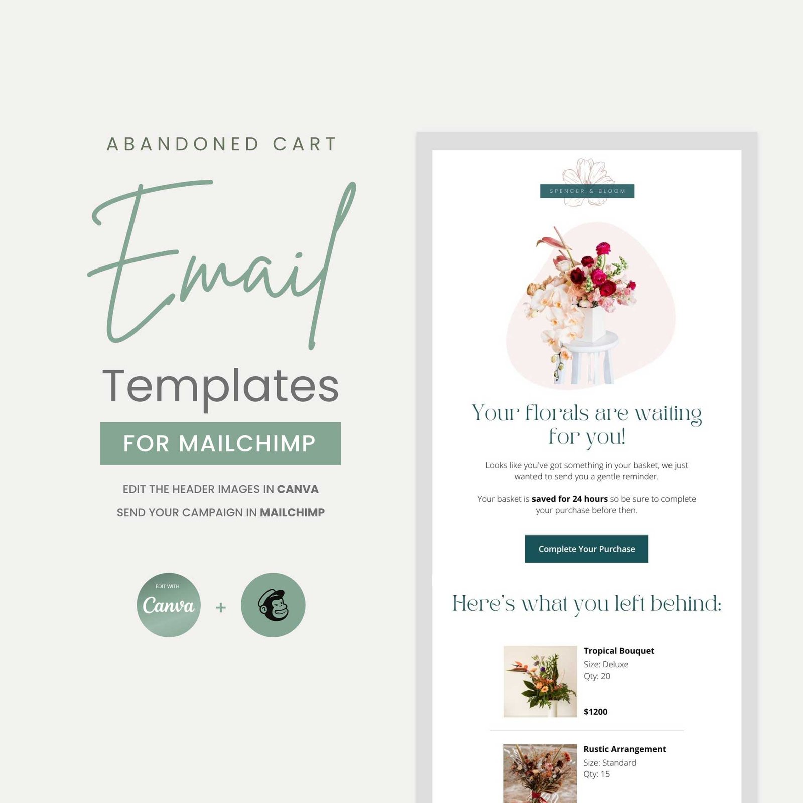 Abandoned Cart Mailchimp Template - Spencer Bloom